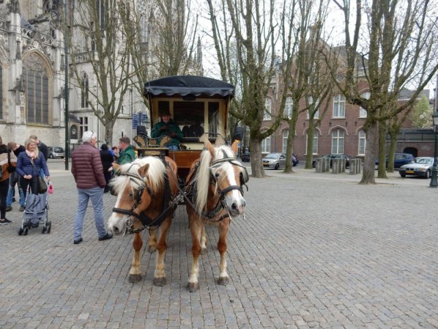 Den Bosch 2019 006